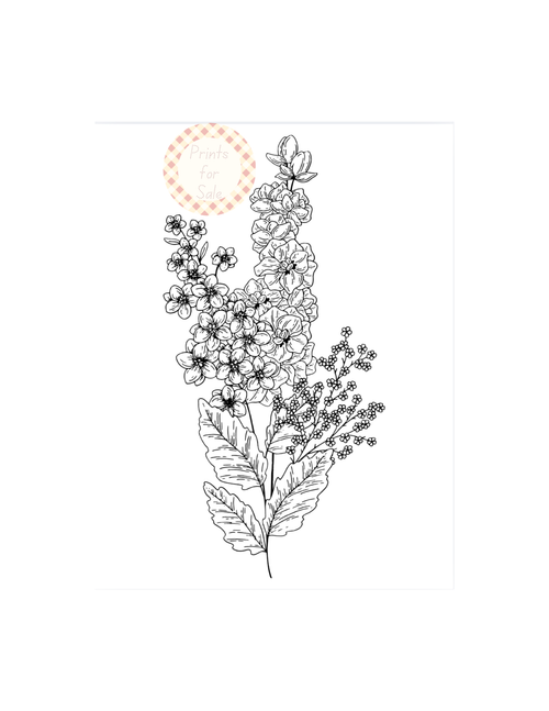 Adult Coloring Book- Flowers Digital Template